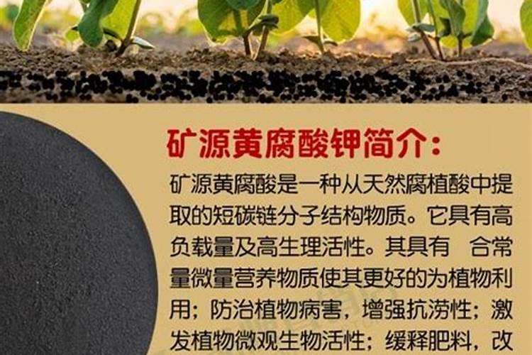 培养基的母液的化学成分主要是什么,用量是多少？