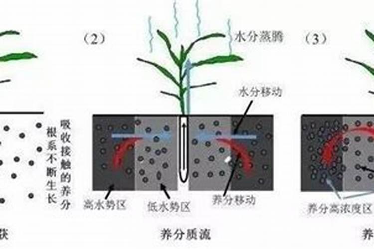黄腐酸钾的使用方法