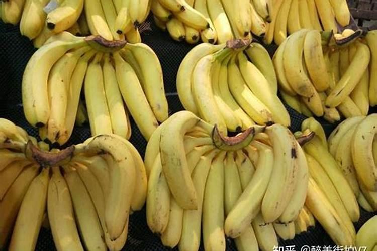 香蕉苗的种植方法
