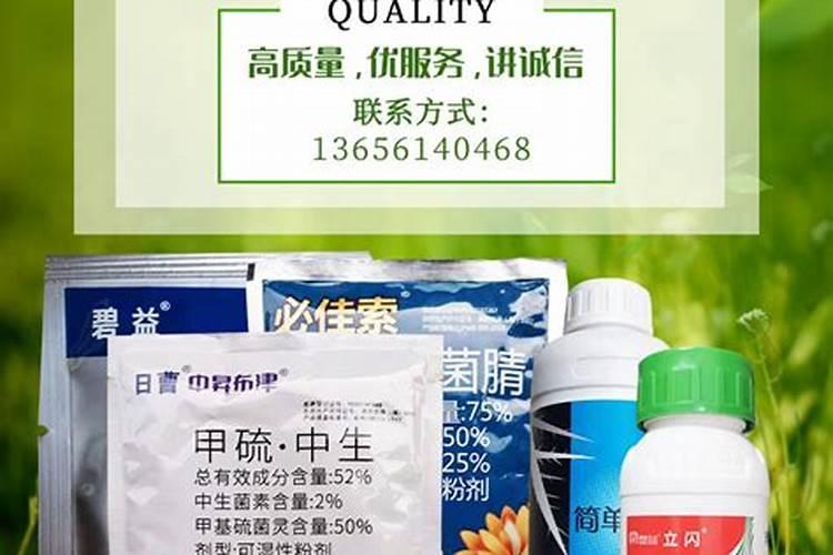 无公害草莓农药的使用方法