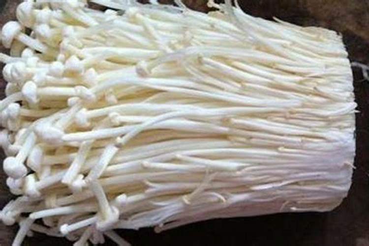 蘑菇采收后的底料,可以用在哪些地方？