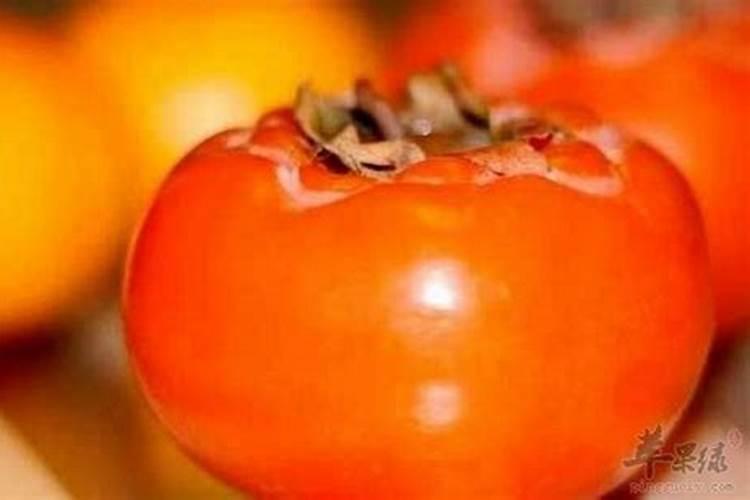 西红柿施肥的正确方法(种植西红柿全过程施肥料技术)