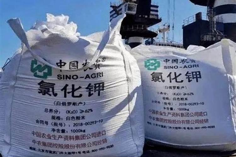 钾肥价格多少钱一吨