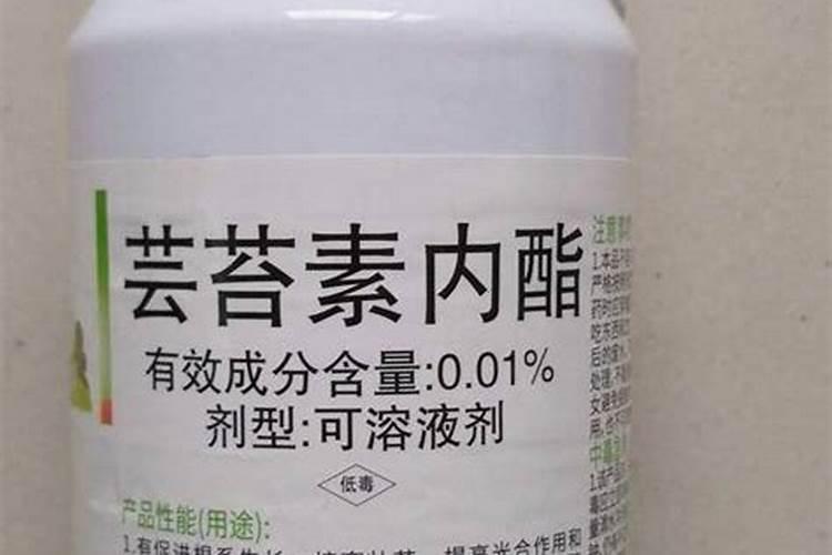 芸苔素的使用方法