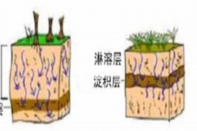 配制蔬菜无土栽培营养液可供选择的钙肥有哪些？有什么特性？