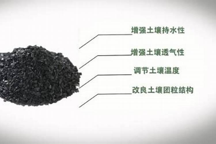 长寿花开花期间能施肥吗