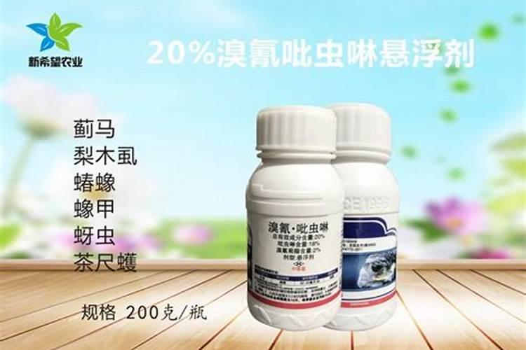 长寿花花期怎样施肥和浇水