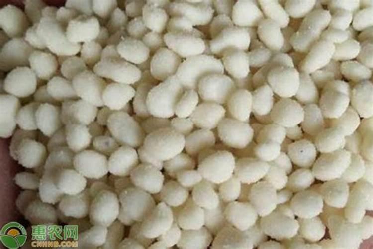 栽树施肥方法