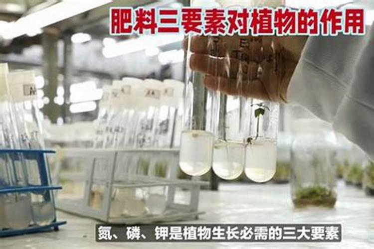 常见的氮肥、磷肥、钾肥、复合肥有哪些……