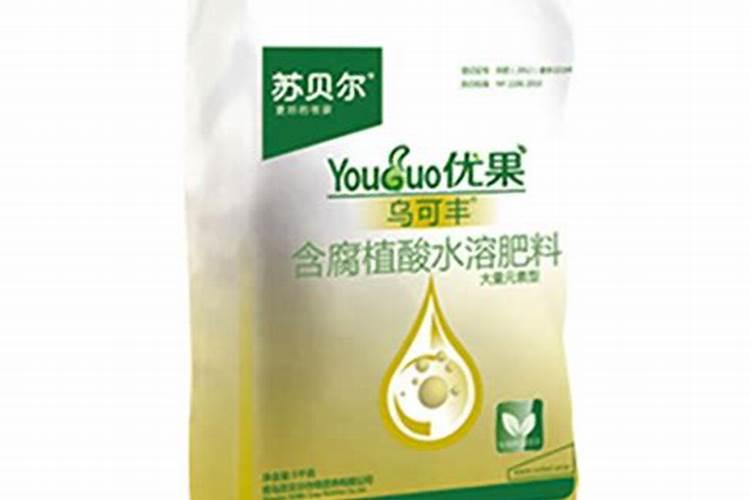 桔子树什么时候施肥最好