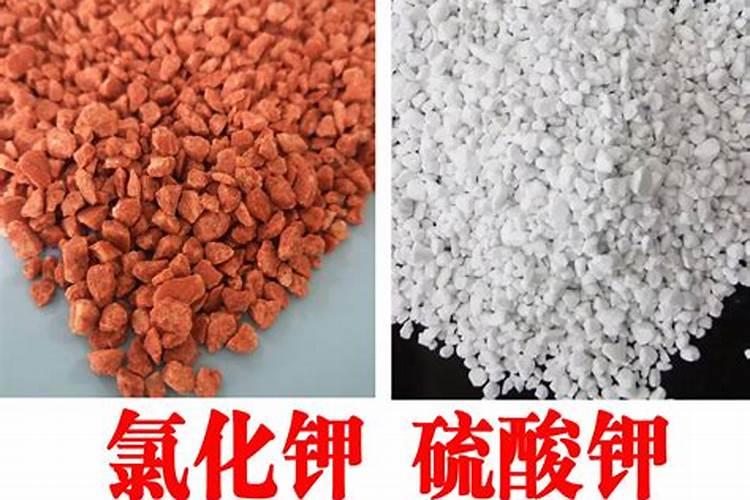 钾肥和氯化钾的区别？