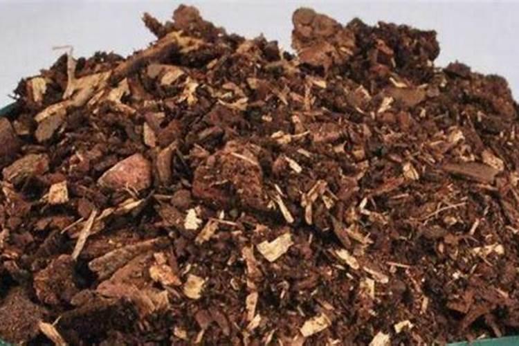 用什么叶面肥叶子长得肥壮