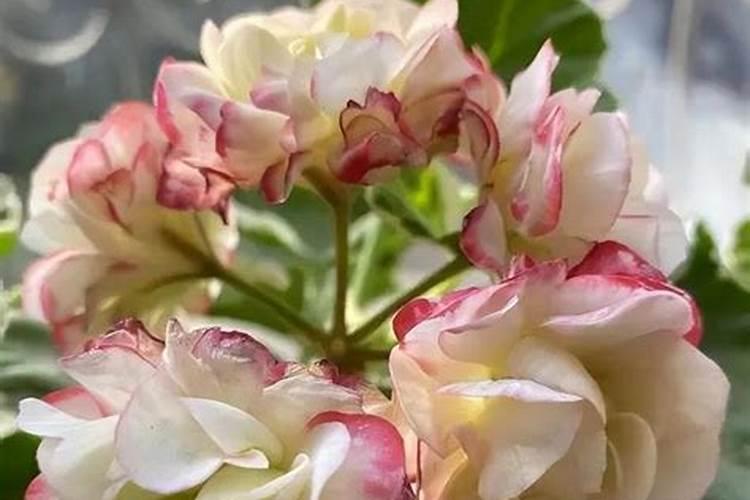 氨氮超标的几种原因及解决办法