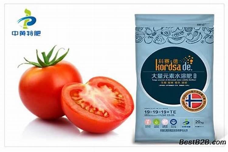 鱼蛋白草莓冲施的最佳时期