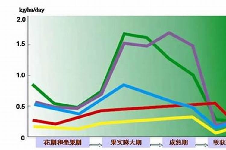 柑桔冬天施肥方法及时间 怎么给柑桔施肥