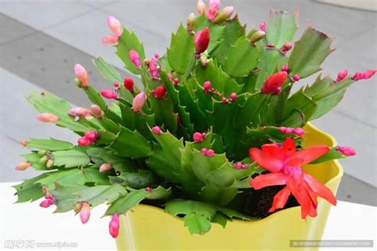 时泽[shí zé]什么意思？近义词和反义词是什么？英文翻译是什么？百度...