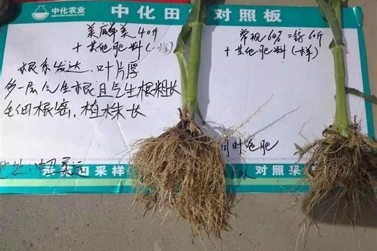 磷肥和钾肥充称磷酸二氢钾吗？