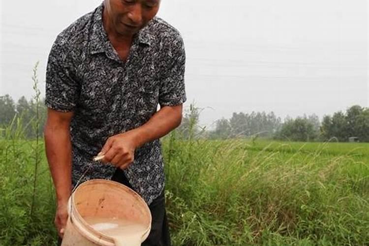 磷酸二氢钾是磷肥还是钾肥