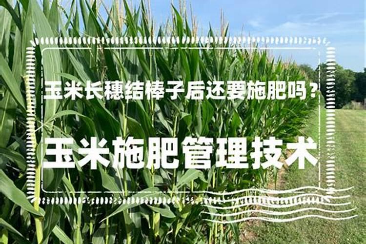 果树常用磷肥有哪些