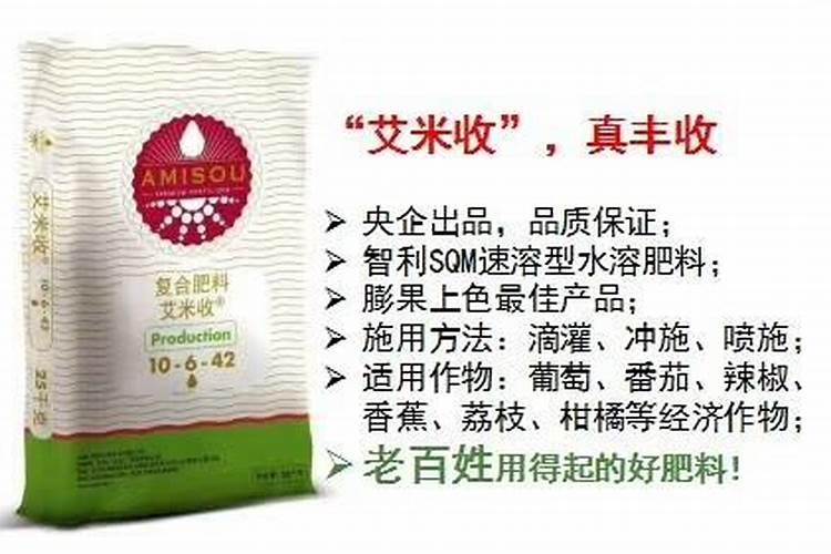 葡萄施什么肥料好