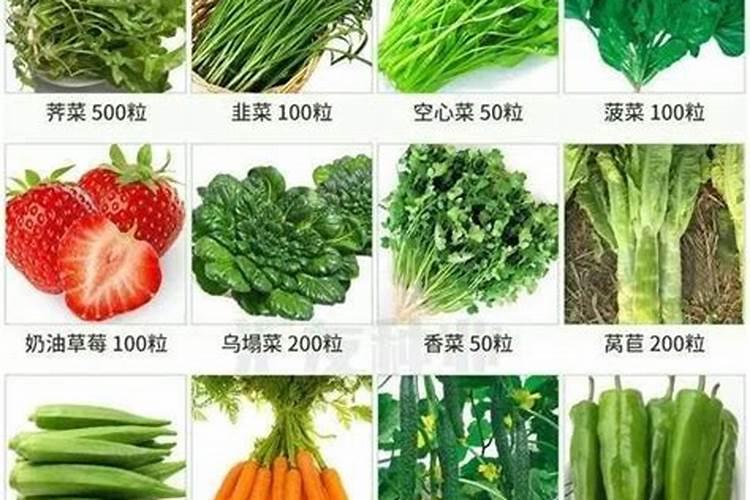 磷肥适合哪些蔬菜