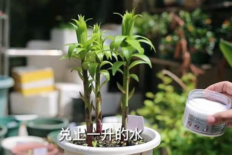 百合膨大期施什么肥