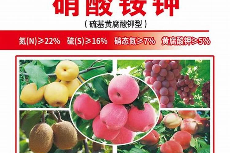 土施硝酸钾肥效多长？樱桃树