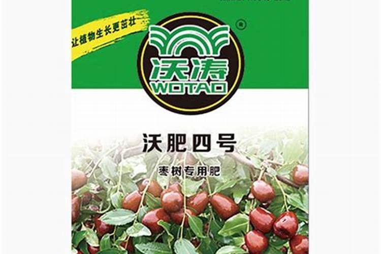 枣树施肥时间