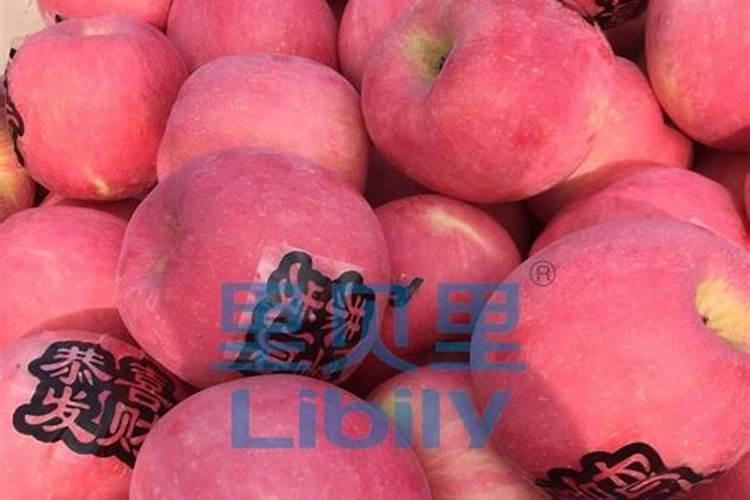 杨梅膨果肥用什么肥最好