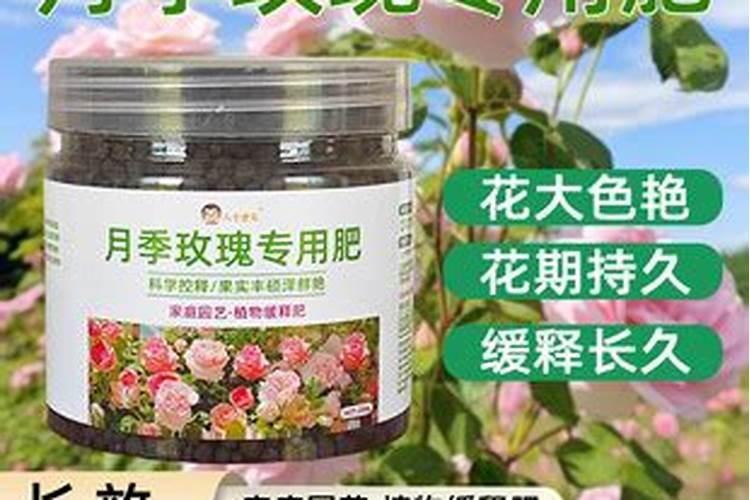 大棚甜瓜坐果以后用什么肥料？