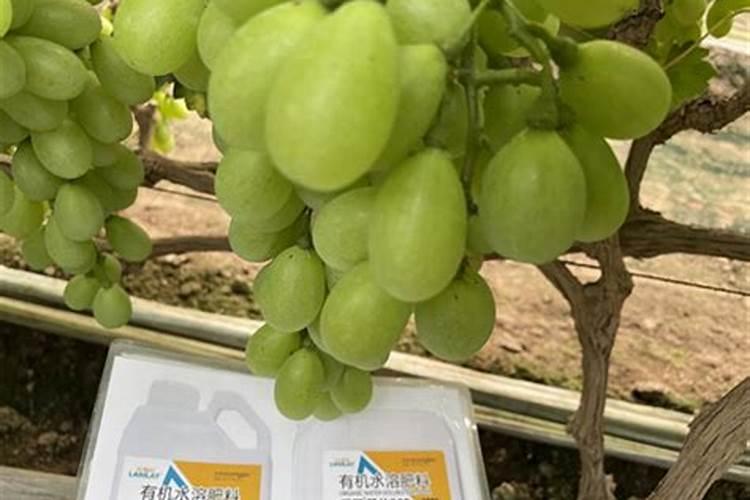 大豆田苗后除草剂使用后种玉米有没有影响