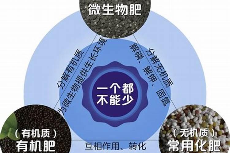 种大豆用什么肥料最好