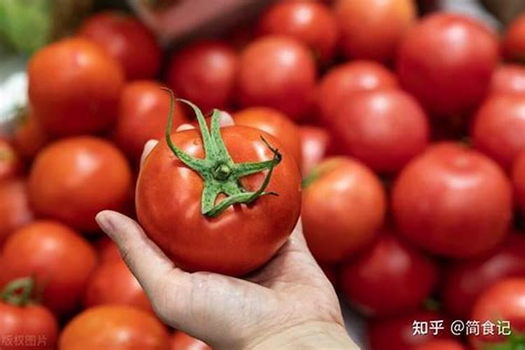 苗木移栽如何快速生根？新苗移栽缓苗快的方法和技巧!