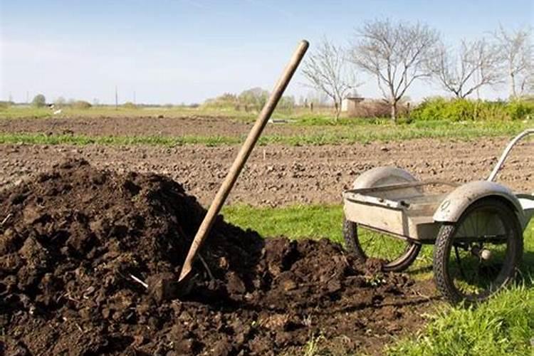 花多多2号和磷酸二氢钾哪个好