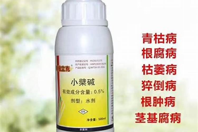 炭疽病用什么农药最好