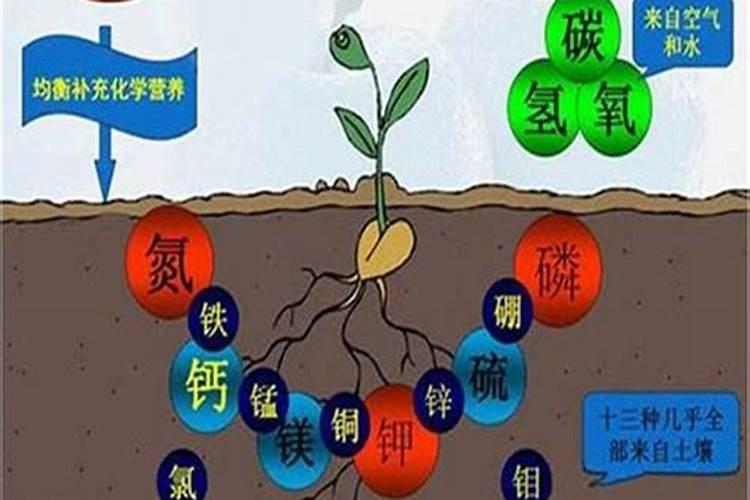 高钾复合肥有哪些