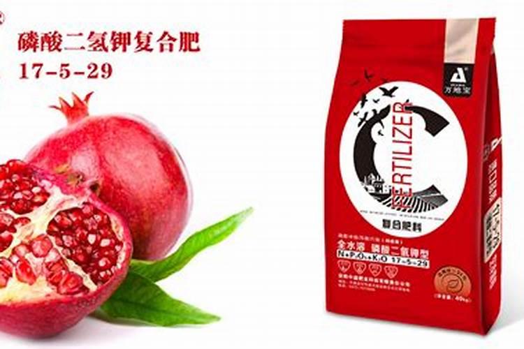多肉植物可以施氮肥吗