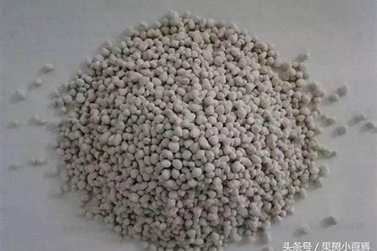 桃树果实膨大用什么药