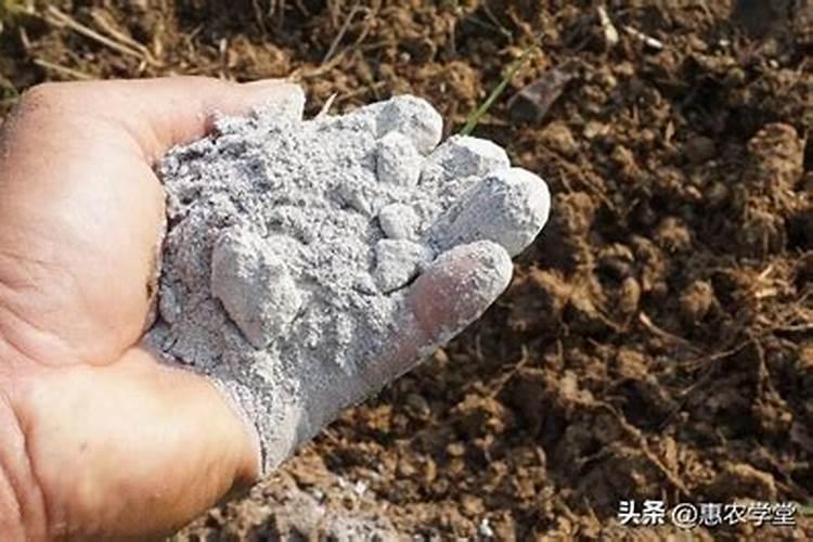 酸性土壤好还是碱性土壤好