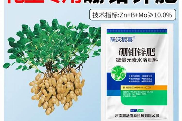花生用什么肥料产量高