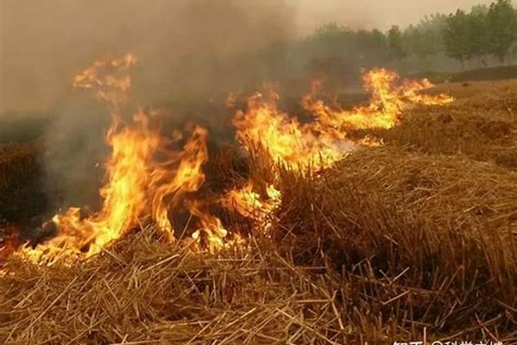 硝态氮肥有哪些