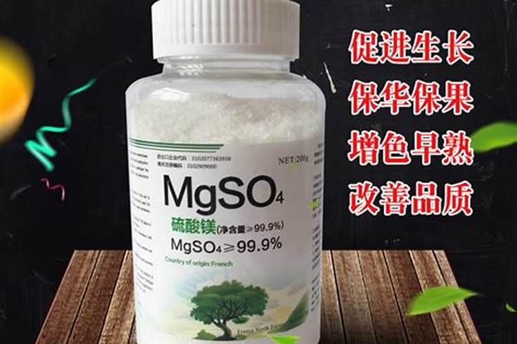 枸杞叶子枯萎叶面上有白色