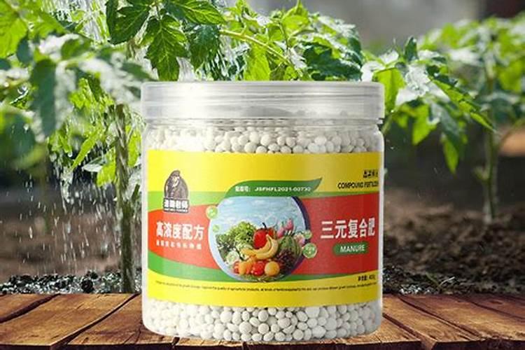 磷肥用于哪些花