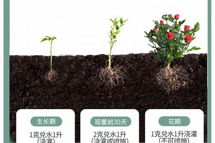 种植茄子应该如何使用？茄子氮肥施用技术!