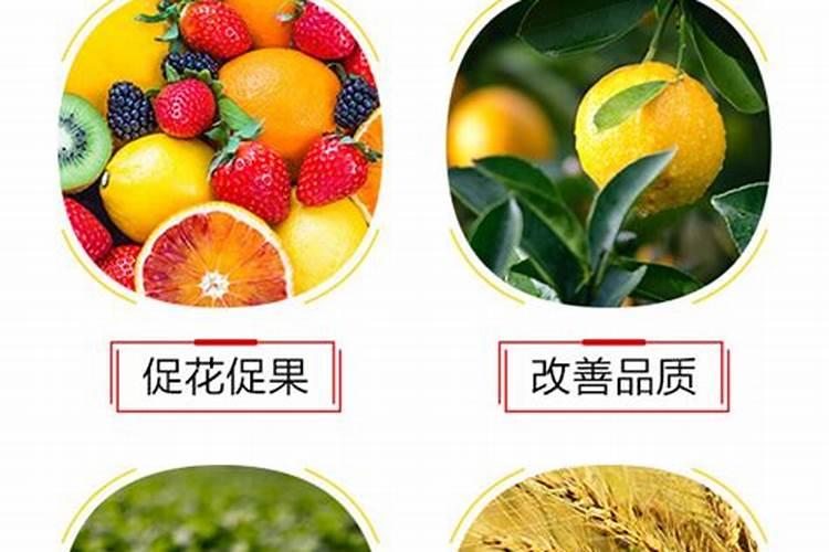 有什么化肥能代替农家肥做底肥吗