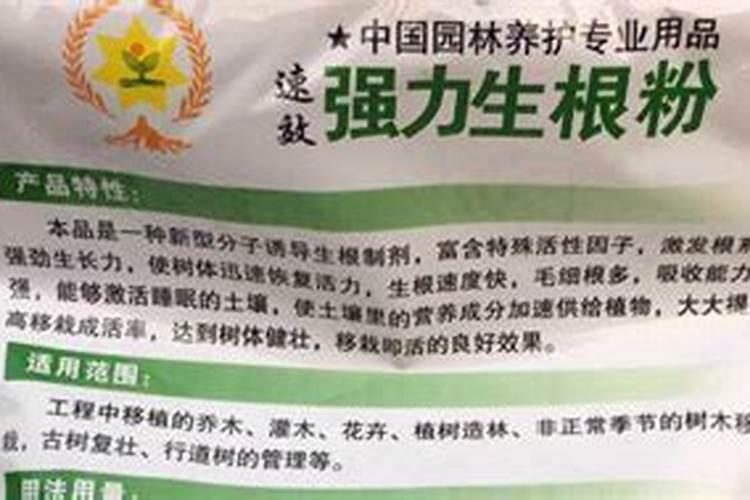 月季适合什么肥料