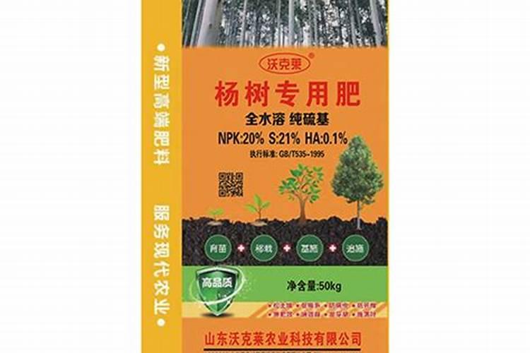 两年的杨树怎么施肥