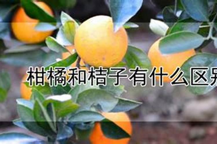 磷脂的两条疏水链为何一条直的一条弯的？这与其中一条存在双键有什么关系...