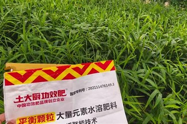 颗粒水溶肥哪家好？