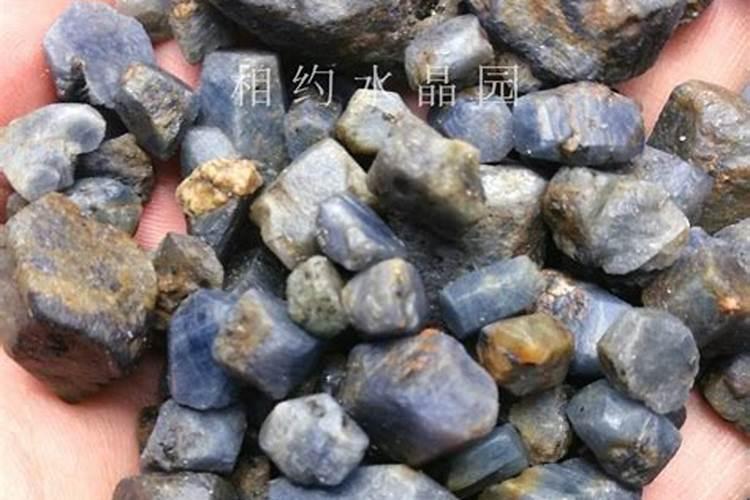 蓝宝石叶子红的原因用什么肥料会变绿吗？